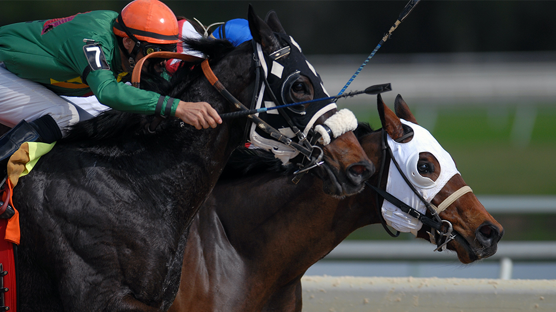 FanDuel Becomes First US Sports Book To Offer Single Account For Sports And Horse Racing Wagering